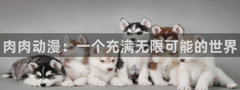 蛙漫2：肉肉动漫：一个充满无限可能的世界配图