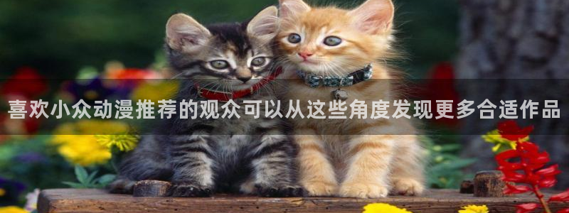 漫蛙源:喜欢小众动漫推荐的观众可以从这些角度发现更多合适作品配图