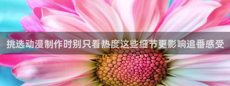 漫蛙是：挑选动漫制作时别只看热度这些细节更影响追番感受配图