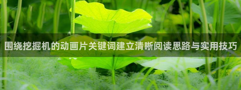 漫蛙三：围绕挖掘机的动画片关键词建立清晰阅读思路与实用技巧配图
