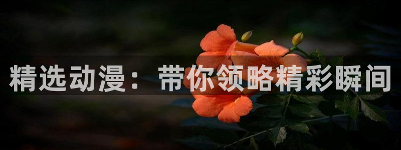 漫蛙manwa2：精选动漫：带你领略精彩瞬间配图