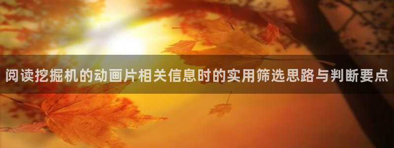 漫蛙页:阅读挖掘机的动画片相关信息时的实用筛选思路与判断要点配图