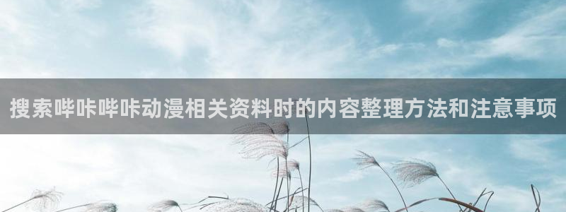 趣漫蛙：搜索哔咔哔咔动漫相关资料时的内容整理方法和注意事项配图