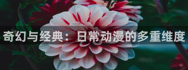 爱漫蛙：奇幻与经典：日常动漫的多重维度配图