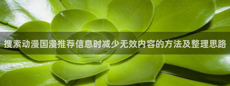 _蛙漫:搜索动漫国漫推荐信息时减少无效内容的方法及整理思路配图