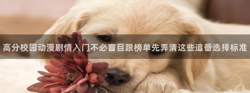 漫蛙能:高分校园动漫剧情入门不必盲目跟榜单先弄清这些追番选择标准配图